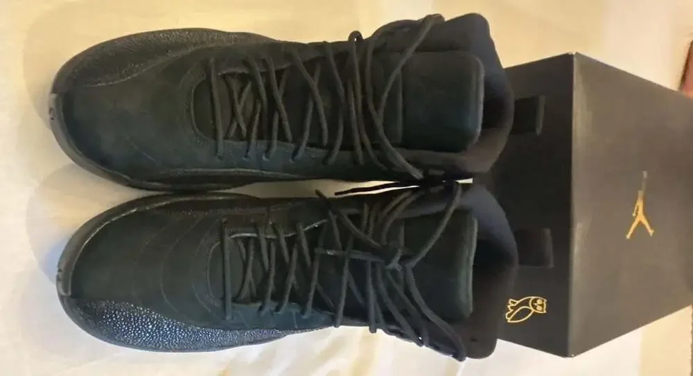 Jordan air 12